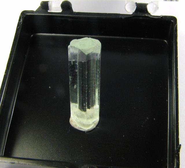 cuiba