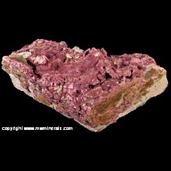 Erythrite from Queensland, Australia