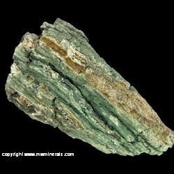 Green Petrified Wood from Petrified Forest