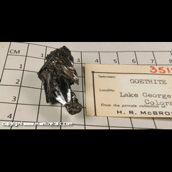 Mineral Specimen: Goethite from Lake George, Park Co., Coloradi