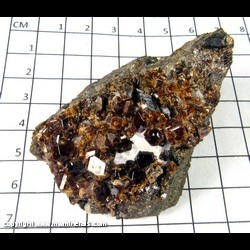 Mineral Specimen: Andradite Garnet, Calcite, Epidote from Garnet Hill, Calaveras County, California