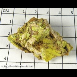 Mineral Specimen: Pyromorphite Pseudomorph after Cerussite from South Roughton Vein, Roughton Gill, Caldbeck Fells, Cumbia, England