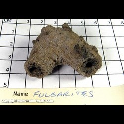 Mineral Specimen: Fulgarite (sand fused by lightning) from Lyon Co., Nevada