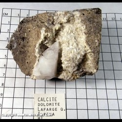 Mineral Specimen: Calcite, Dolomite from LaFarge Quarry, Alpena, Alpena Co., Michigan