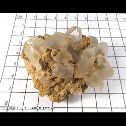 Mineral Specimen: Calcite twinned Crystals on Barite from Washington Co,  Missouri