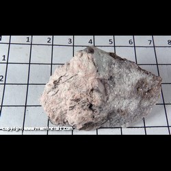 Mineral Specimen: Montmorillonite, Albite, Mica (Lepidolite with Muscovite and/or Biotite) from Tamminen Quarry, Greenwood, Oxford Co., Maine