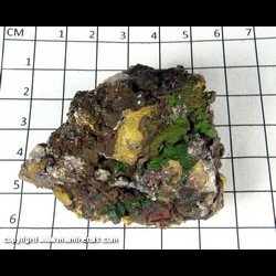 Mineral Specimen: Goethite variety: Turgite from Monmouth Twp., Haliburton Co., Ontario, Canada