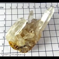 Mineral Specimen: Quartz from Spruce Claim, King Co., Washington