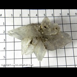 Mineral Specimen: Selenite – Double Terminated & Twinned from Comache quarry, Farmington, Van Buren Co., Iowa