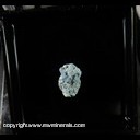 Mineral Specimen: Ceruleite from Emma Luisa Mine, Guanaco, Santa Catalina, Chile, Ex. Steve Pullman purchased from D. Garske, Feb. 1993
