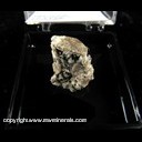 Mineral Specimen: Murmanite, Amphibole from Lovozersky dist., Murmansk Oblast, Russia, Ex. S. Pullman from D. Garske