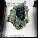 Mineral Specimen: Clinoclase from Majuba Hill Mine, Pershing Co., Nevada, Collected by Steve Pullman
