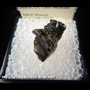 Mineral Specimen: Meurigite On Cryptomelane from Sapucaia Mine, Galileia, Mians Gerais, Brazil, Ex. Luiz Menezes