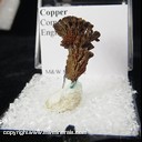 Mineral Specimen: Copper from Cornwall, England