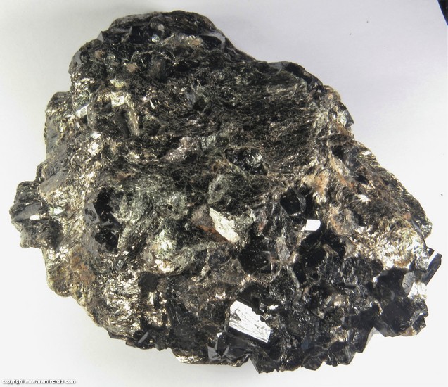 Mineral Specimen 6550 Dravite In Biotite Schist From Serra Branca 