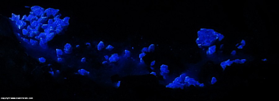 Fluorescent Mineral Specimen: Benitoite, Neptunite, Crossite, Natrolite from San Benito Co., California