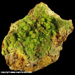 Minerals Specimen: Pyromorphite from Wheatley Mines, Schuylkill Twp., Chester Co., Pennsylvania