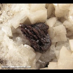 Minerals Specimen: Sphalerite, Dolomite, Calcite from Thorold area, Niagara Region, Ontario, Canada