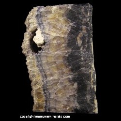 Mineral Specimen: Blue John Fluorite, Barite (unpolished) from Old Tor Mine, Castleton, High Peak, Derbyshire, England