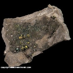 Minerals Specimen: Diploid Pyrite Crystals from Duff Quarry, Logan Co., Ohio