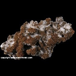 Mineral Specimen: Iridescent Marcasite on Calcite from Linwood Quarry, Buffalo, Scott Co., Iowa