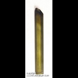 Mineral Specimen: Tourmaline from Himalaya Mine, San Diego Co., California