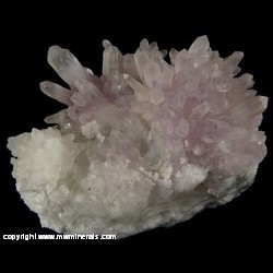 Mineral Specimen: Amethyst on Milky Quartz from Chala mine, Spahievo ore field, Spahievo, Mineralni Bani, Haskovo, Bulgaria