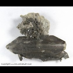Mineral Specimen: Barite from Linwood Quarry, Buffalo, Scott Co., Iowa